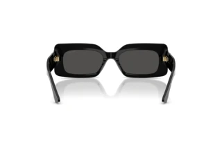 Rear view Jimmy Choo JC5067 (500087)