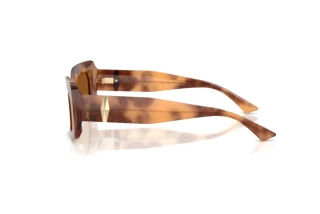 Side view Jimmy Choo JC5067 (509673)