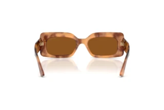 Rear view Jimmy Choo JC5067 (509673)