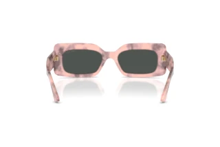 Rear view Jimmy Choo JC5067 (509887)