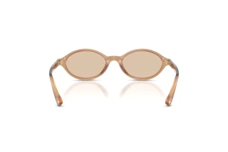 Rear view Jimmy Choo JC5068U (507693)