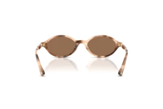 Rear view Jimmy Choo JC5068U (509773)