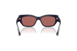 Rear view Jimmy Choo JC5071BU (501669)