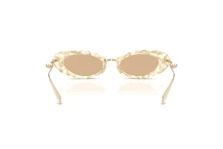Rear view Jimmy Choo JC5072H (512673)