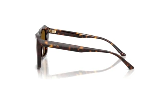 Side view Jimmy Choo JC5076 (500283)