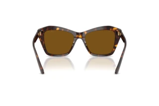 Rear view Jimmy Choo JC5076 (500283)