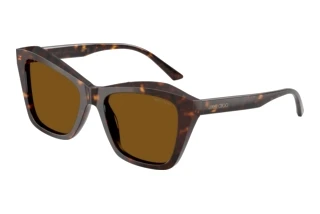 Front view Jimmy Choo JC5076 (500283)