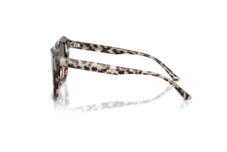 Side view Jimmy Choo JC5076 (5115G9)