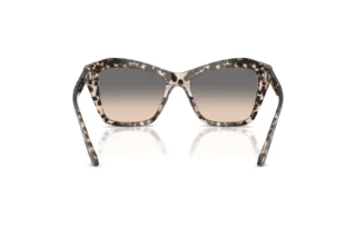 Rear view Jimmy Choo JC5076 (5115G9)