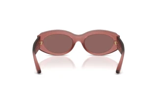Rear view Jimmy Choo JC6002U (50946G)