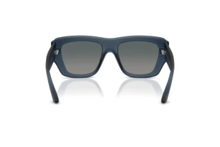Rear view Jimmy Choo JC6003U (50906I)