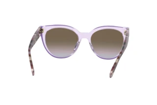 Rear view Kate Spade JAVANA/G/S (B3V/QR)