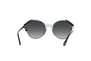 Rear view Kate Spade JEZEBEL/G/S (PJP/9O)