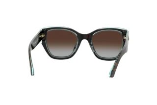 Rear view Kate Spade YOLANDA/S (086/LA)