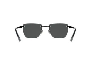 Rear view Lacoste L282S (002)