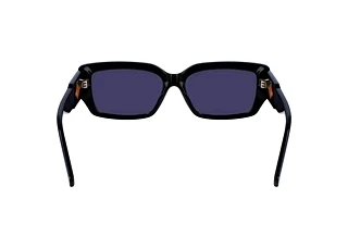 Rear view Lacoste L6021S (001)