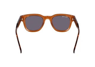 Rear view Lacoste L6023S (210)