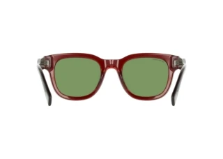 Rear view Lacoste L6023SRG N (205)
