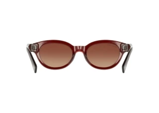 Rear view Lacoste L6024SRG (205)