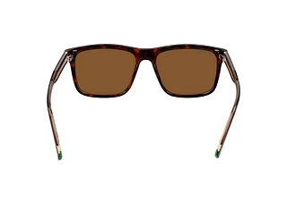 Rear view Lacoste L6025S (219)