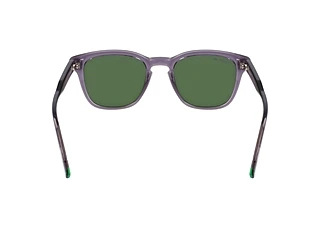 Rear view Lacoste L6026S (035)