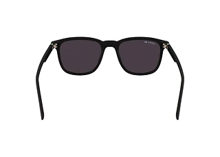 Rear view Lacoste L6029S (002)