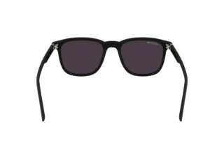 Rear view Lacoste L6029S N (002)