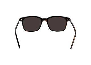 Rear view Lacoste L6035S (230)