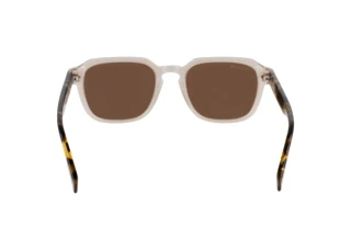 Rear view Lacoste L6046S (264)