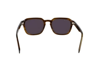 Rear view Lacoste L6046S (275)
