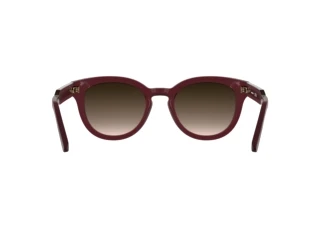 Rear view Lacoste L6070S (601)