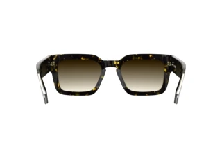 Rear view Lacoste L6071S (230)