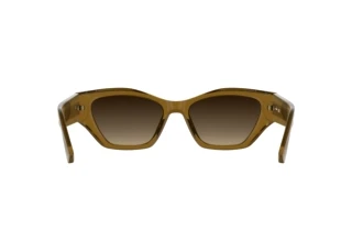 Rear view Lacoste L6072S (214)