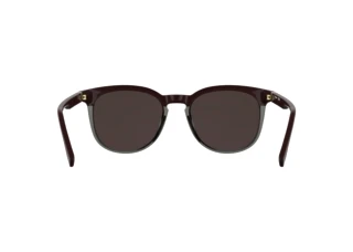 Rear view Lacoste L6073S (601)