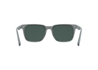 Rear view Lacoste L6077S (035)