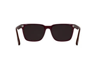 Rear view Lacoste L6077S (601)