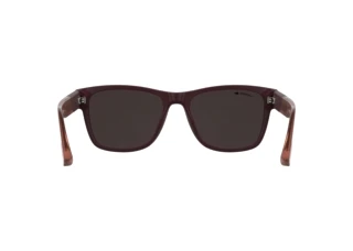 Rear view Lacoste L6084S (601)