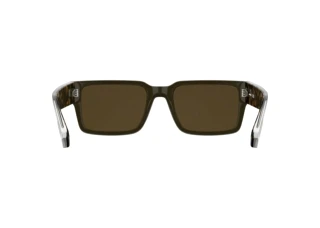 Rear view Lacoste L6089S (275)