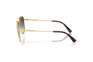 Side view Michael Kors WHISTLER (MK1155 - 18968G)