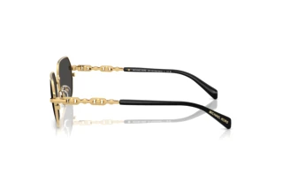 Side view Michael Kors SAINT MARTIN (MK1165 - 189687)