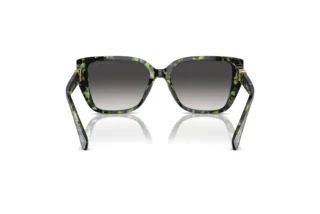 Rear view Michael Kors ACADIA (MK2199 - 39538G)