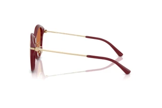 Side view Michael Kors TIANJIN (MK2229D - 400473)
