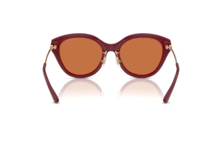Rear view Michael Kors TIANJIN (MK2229D - 400473)
