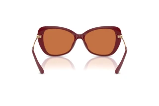 Rear view Michael Kors SAINT CROIX (MK2230U - 400473)