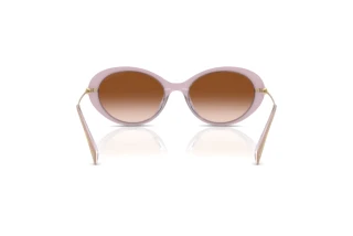 Rear view Michael Kors ROCKAWAY (MK2245U - 401513)