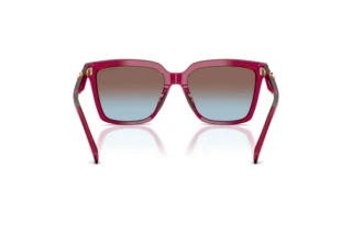 Rear view Michael Kors MENAGGIO (MK2256U - 4032H7)