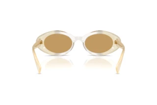 Rear view Miu Miu MU B09S (21R10Y)