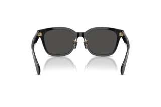 Rear view Moncler METROPE (ME6002D - 300187)