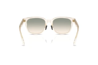 Rear view Moncler METROPE (ME6002D - 30032C)