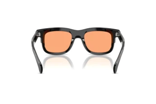 Rear view Moncler CLARO (ME6004 - 300174)